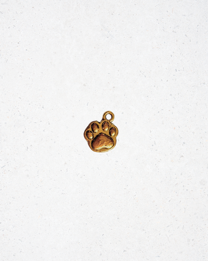 Brass Paw Charm
